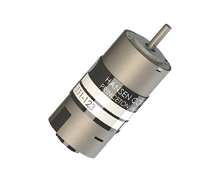 DC Brush Motors